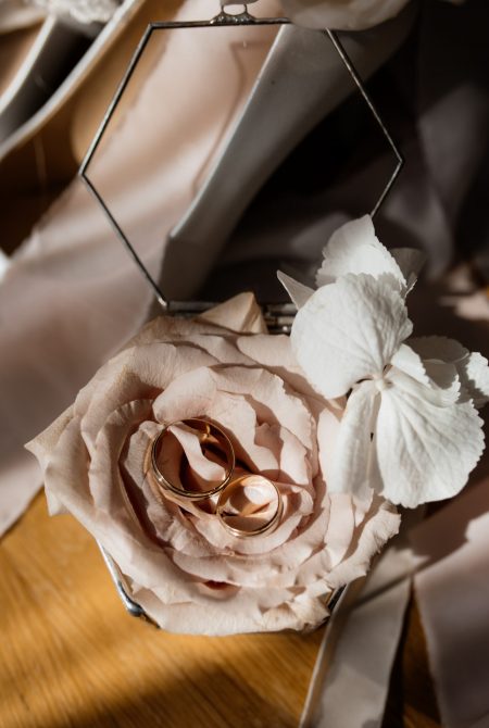 Front view of a dim pink rose on the sunny rays and precious wedding rings, wedding accessories